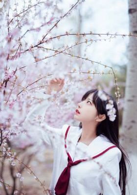 变形金刚5免费观看完整版_超清免费观看电视剧